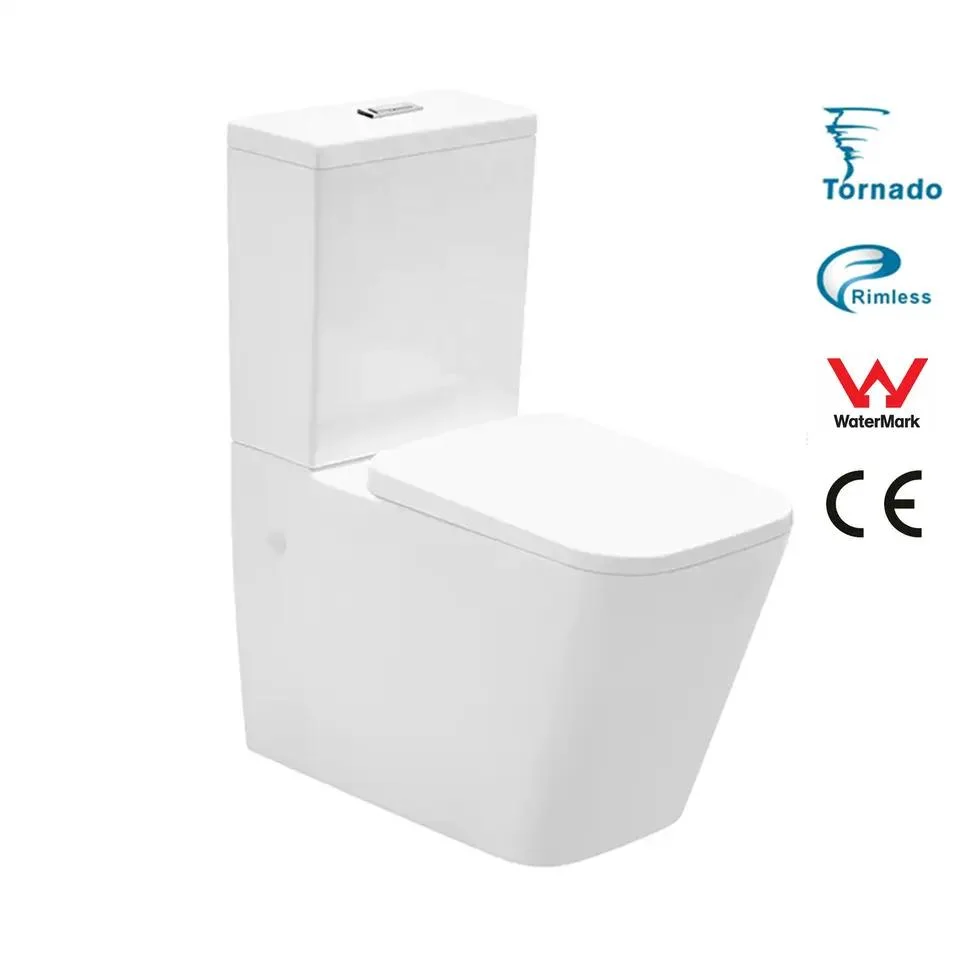 Customization China Bathroom Watermark Toilet Ceramic Wc Toilet Two Piece P Trap Toilet