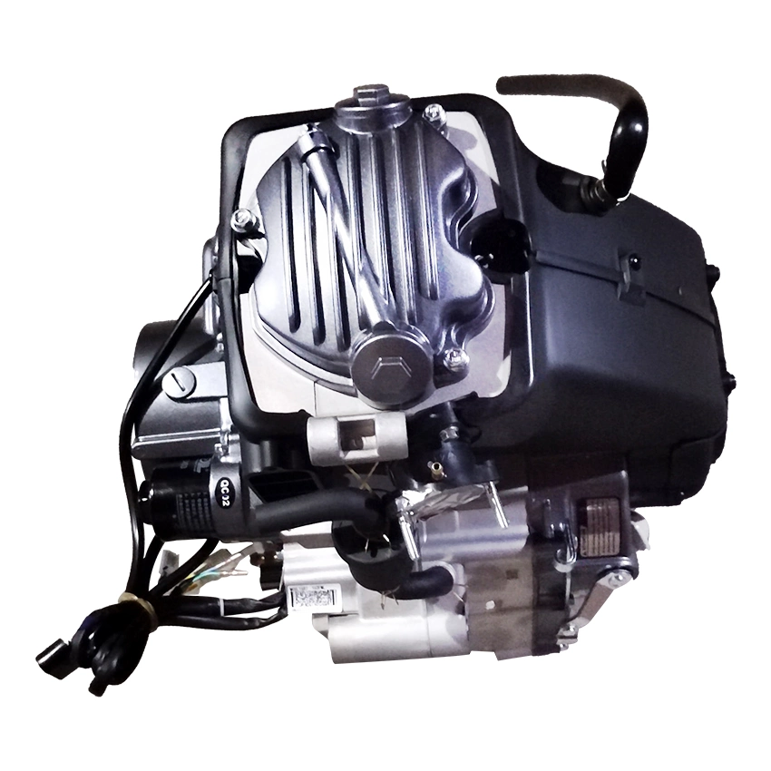 Hot Sale Zongshen 200cc Engine Air-Cooling 4-Stroke Accessories for Motorcycles Cg200d Engine