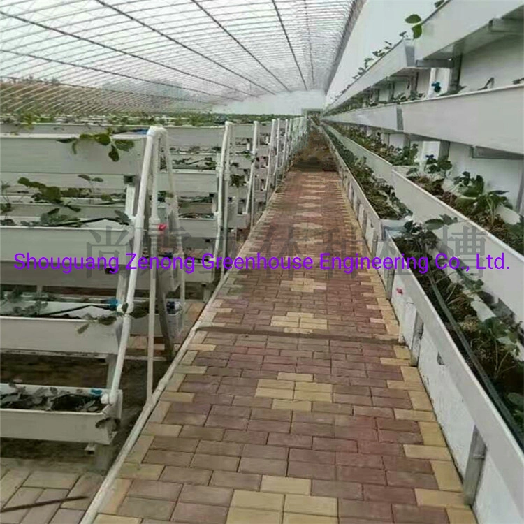 Elevated Strawberry Hydroponic Planting System