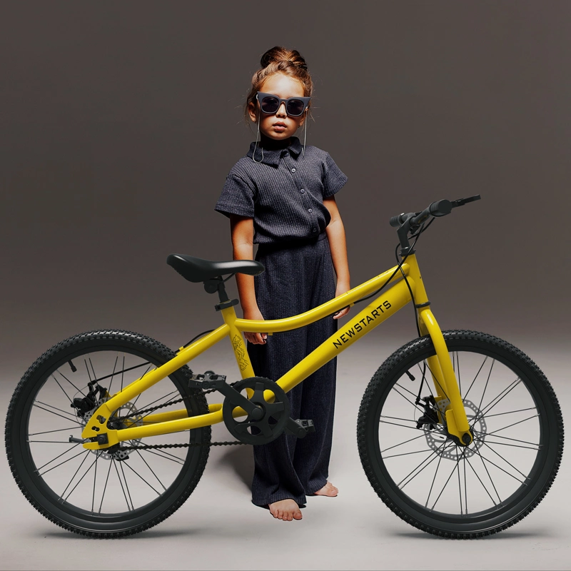 2022 New Design Simple Style Original Factory Kids Bicycle Freestyle Children Bike