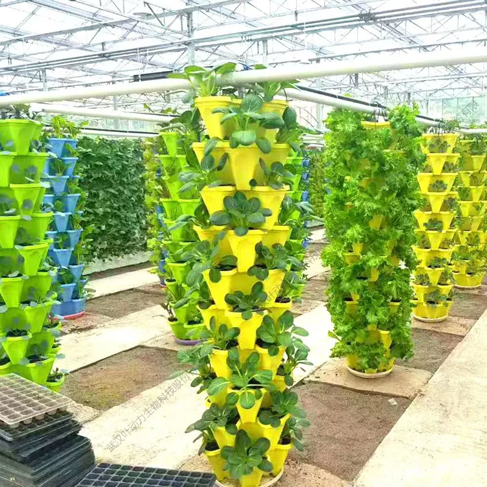 PC Board Film Glass Greenhouse with Electric Heat Cool Fan Boiler/Hydroponic for Cabbage/Strawberry/Cherry/Luffa/Potato