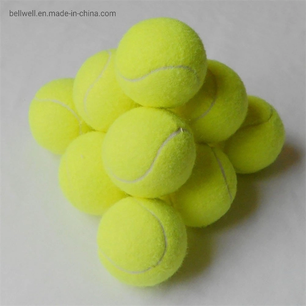 Penn Championship High Altitude Tennis Balls - Extra Duty Felt Pressurized Tennis Balls