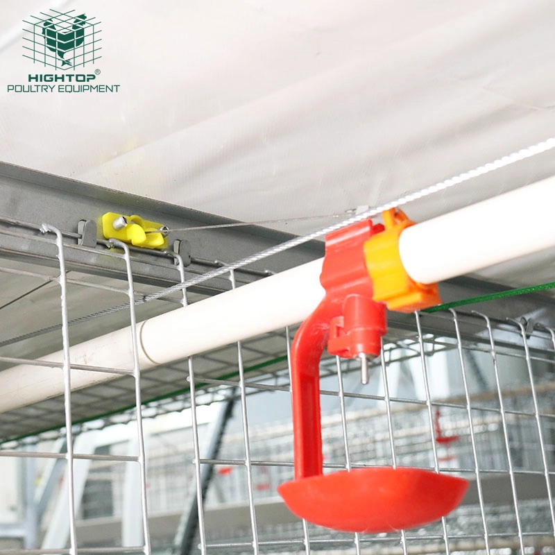 Good Price H Type Poultry Equipment Broiler Chicken Automatic Battery Cage for Sale