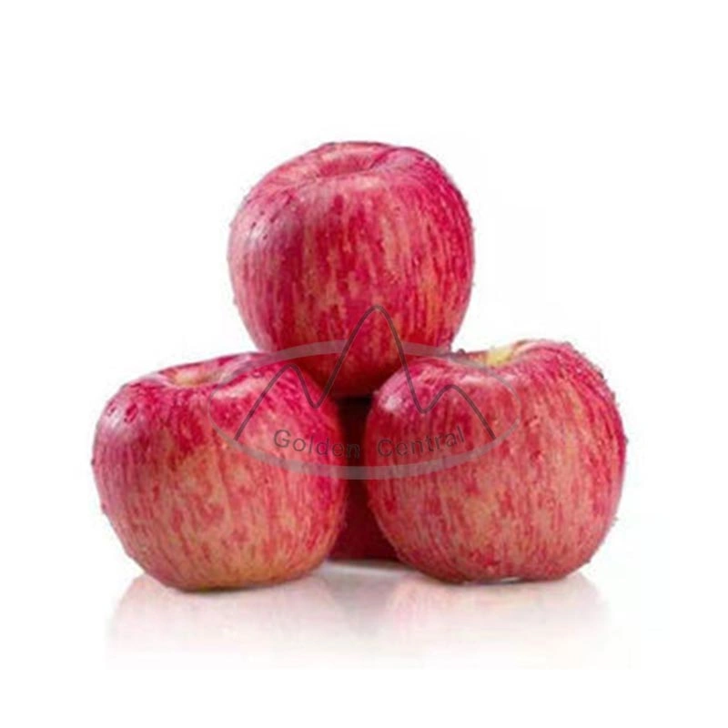 100% Natural Product Food Grade Fresh Red FUJI Apples