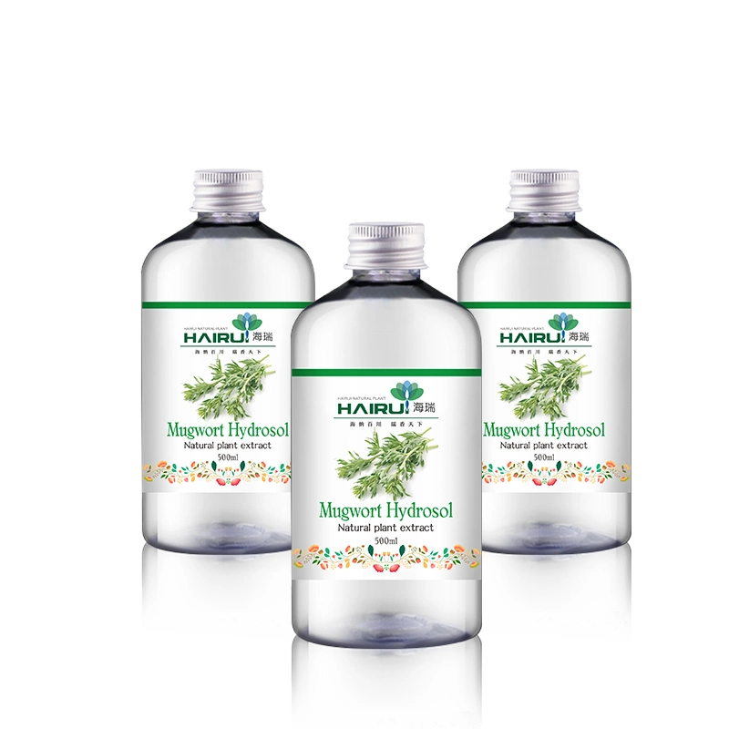 100% Pure Plant Extract at Wholesale Mugwort Hydrosol Blumea Hydrosol