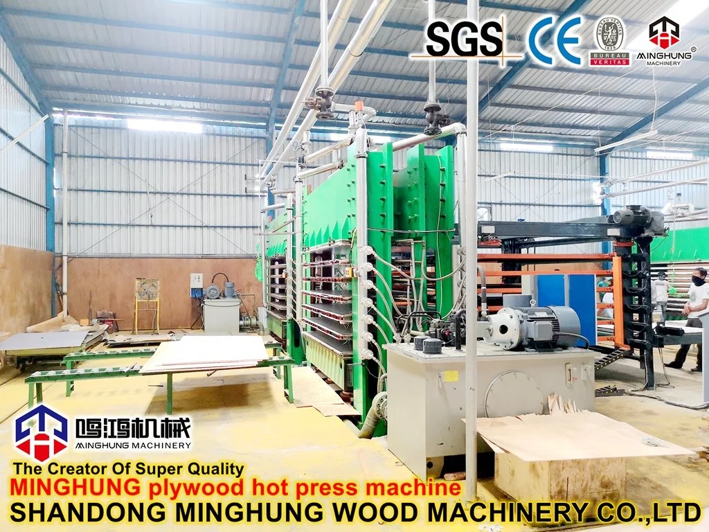 Minghung Plywood Production Line for Construction Plywood