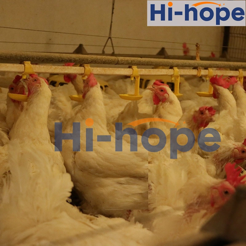 Automatic Chicken Nipple Drinker Broiler Waterer Drinking System