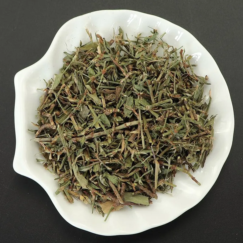 Natura Herb Bian Xu Chinesische Kräutermedizin Polygonum Aviculare