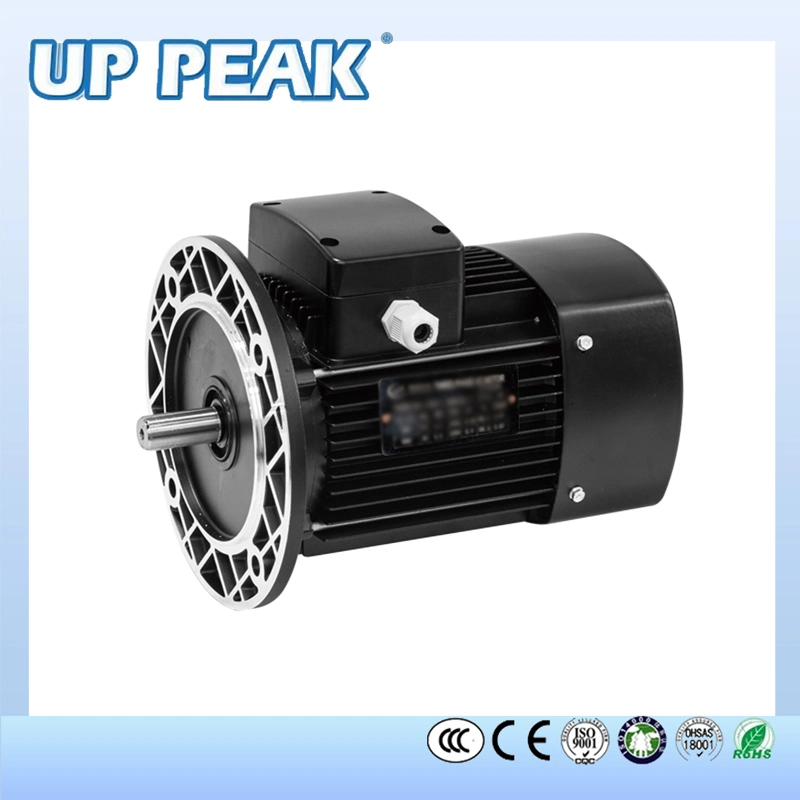 Ms Ie2 Efficiency 0.75kw 1400rpm AC Electric Motor with CE