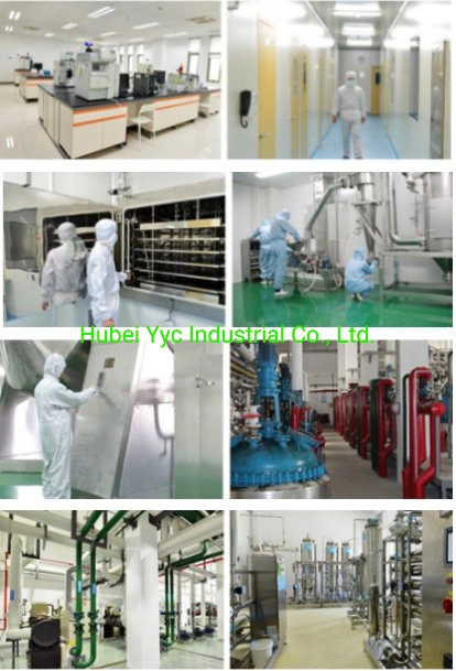 Factory Supply API Grade Pharmaceutical Intermediate Enrofloxacin HCl Raw Material CAS 112732-17-9 Enrofloxacin Hydrochloride Powder