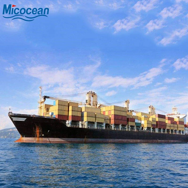 Professional Consolidation Sea Freight Transportation From China to Argentina