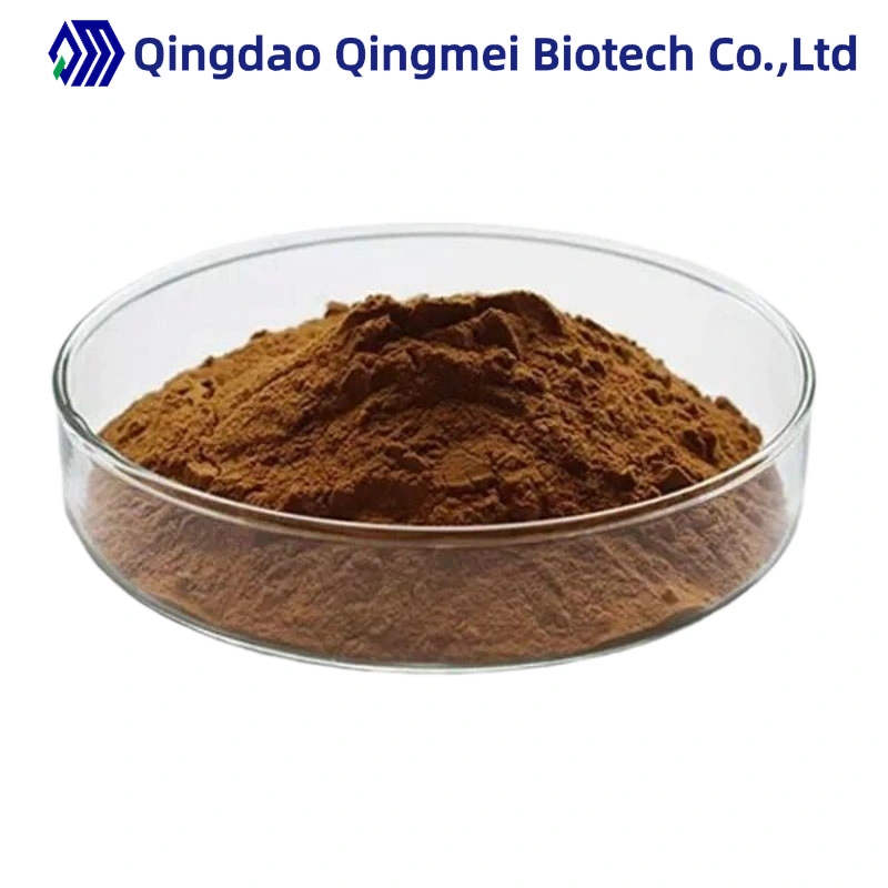 Pure Natural Organic Antrodia Camphorata Mushroom Extract Powder10: 1