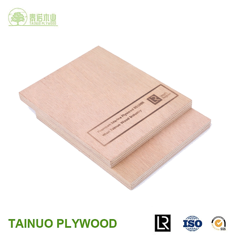 Original Factory Supply Plywood with Poplar Eucalyptus Core