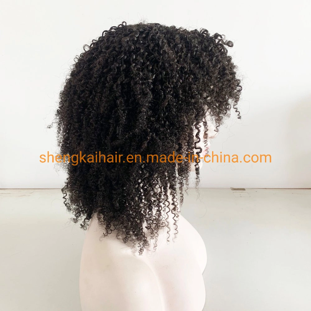 Wholesale/Supplier Lace Front Afro Curly Kinky Human Hair Women Wigs