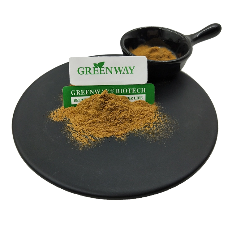 Cosmeitc Grade Organic Melissa Officinalis Extract 3% Rosmarinic Acid Lemon Balm Extract Powder