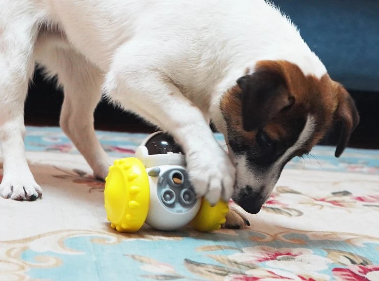 Vendas Quentes Fornecedor de Brinquedos de Plástico para Gatos e Cães.