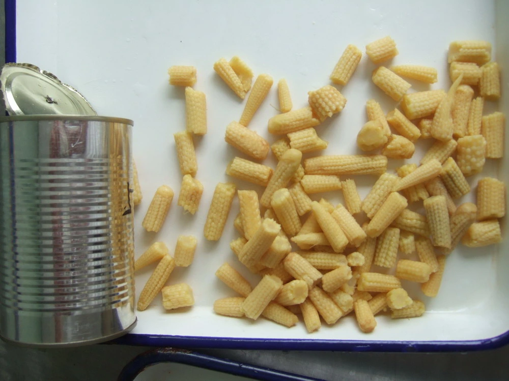 425g Canned Baby Corn Cut by Cheap Price