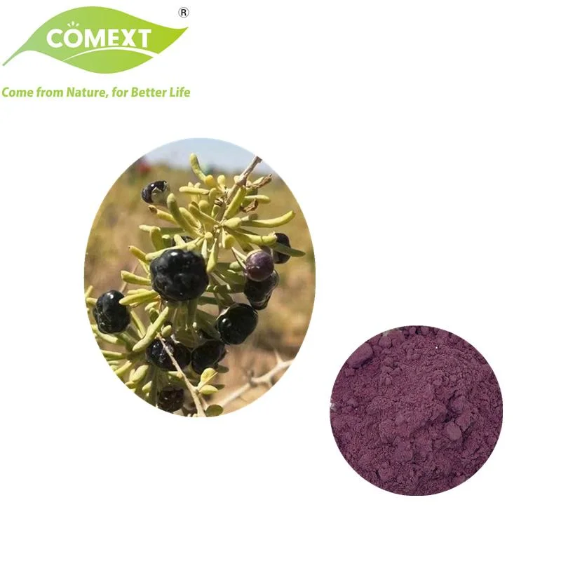 Fábrica de Comext 100% Natural producto Negro Wolfberry Extracto 5% 25% Antocianina en polvo Goji baya negra