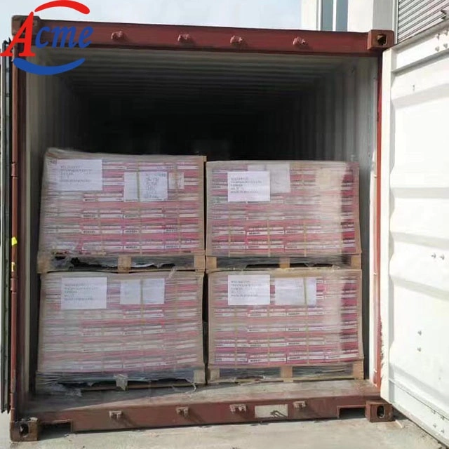 Professional Freight Forwarder Sea Shipping Agent Shipping Cost Rates China to The World