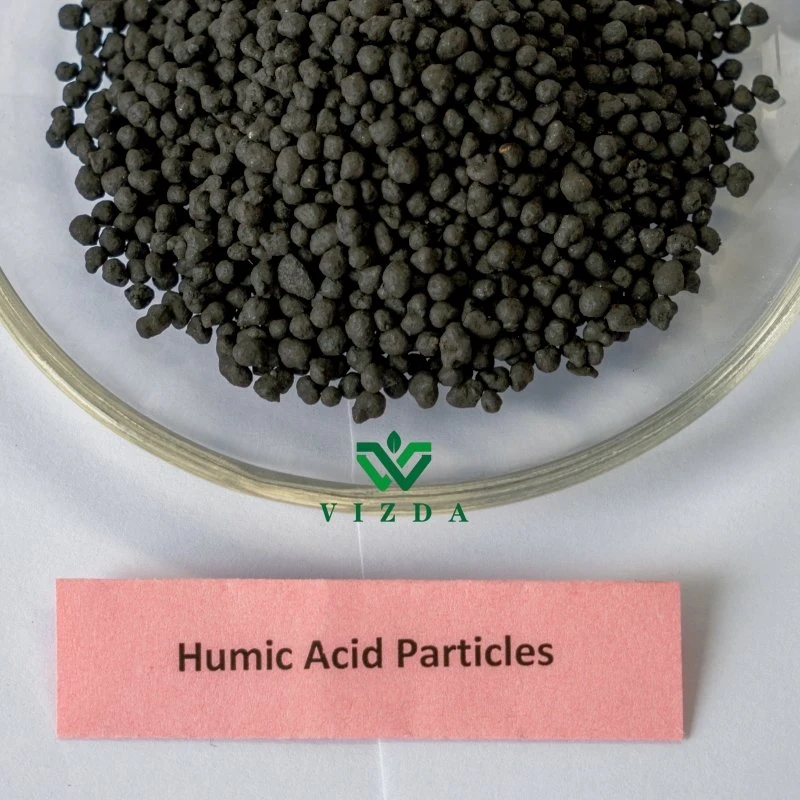 الأسمدة الحمضية الصلبة الممتازة Humic Acid Fertilzer