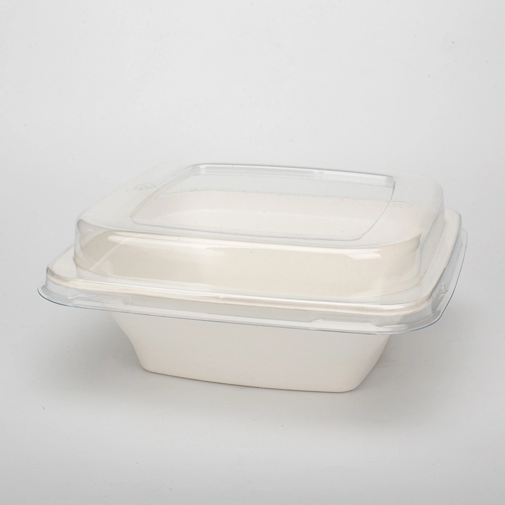 Biodegradable Disposable Take-out Spring Picnic Light Food to-Go Box Tableware Lunch Box Plate Compostable Plates and Cutlery