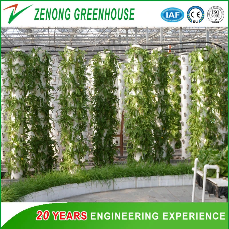 Aquaponic/Hydroponic Green House Covered with High Transmittance Glass