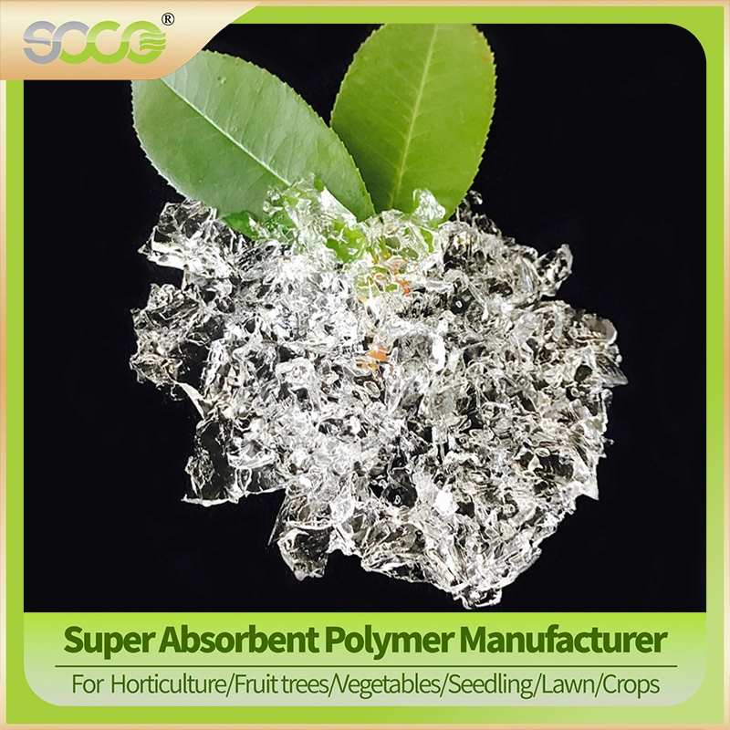 Biodegradable Agricultural Drought Resistance Super Absorbent Polymer Water Retaining Powder Sap for Planting Cherries and Blueberries