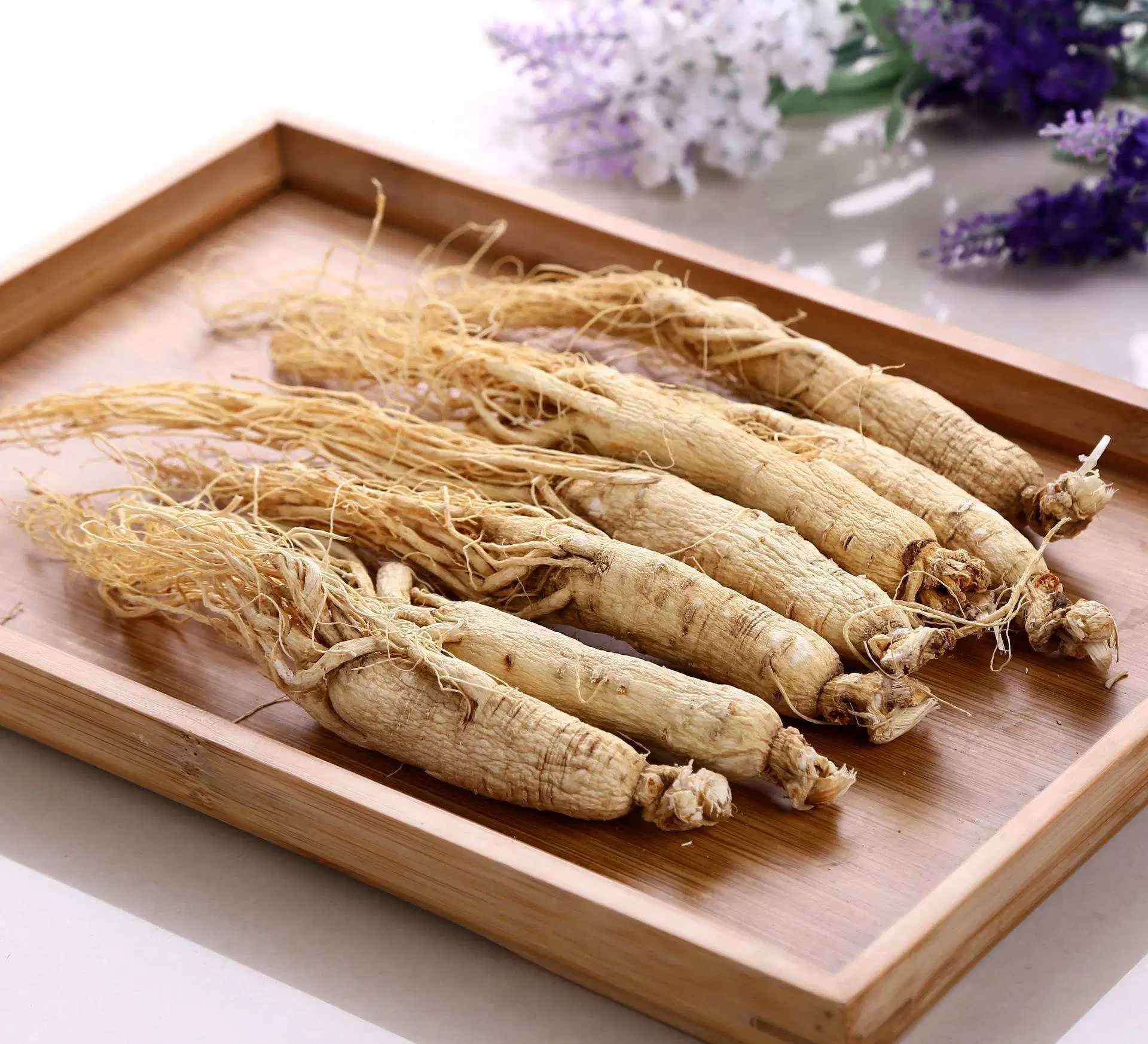 Ginseng Root Extract with Immune-Enhancing Effects Used in Functional Food