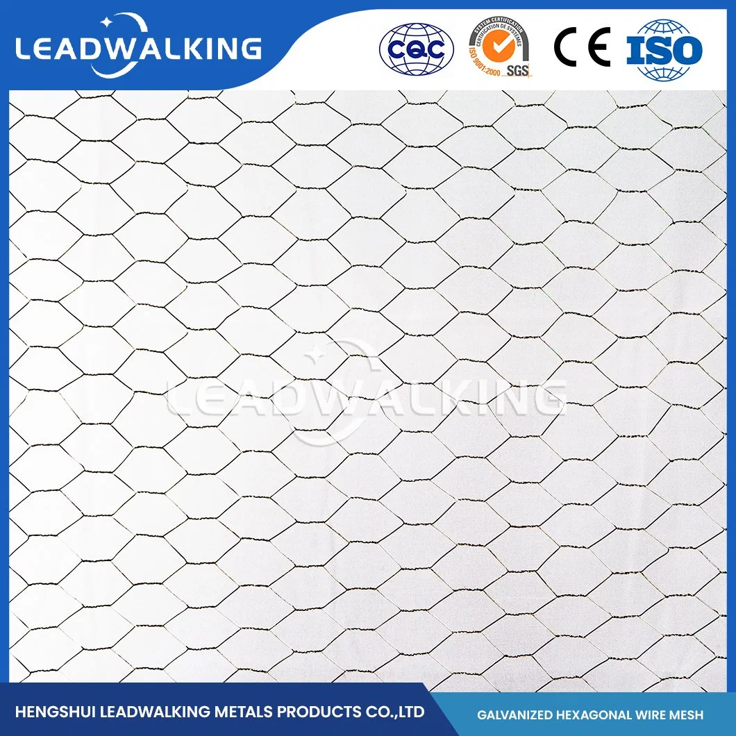 Leadwalking China Galvanized Woven Wire Mesh Manufacturers Low Carbon Steel Wire Material 1/2 Inch Mesh Hexagonal PVC Hexagonal Wire Mesh