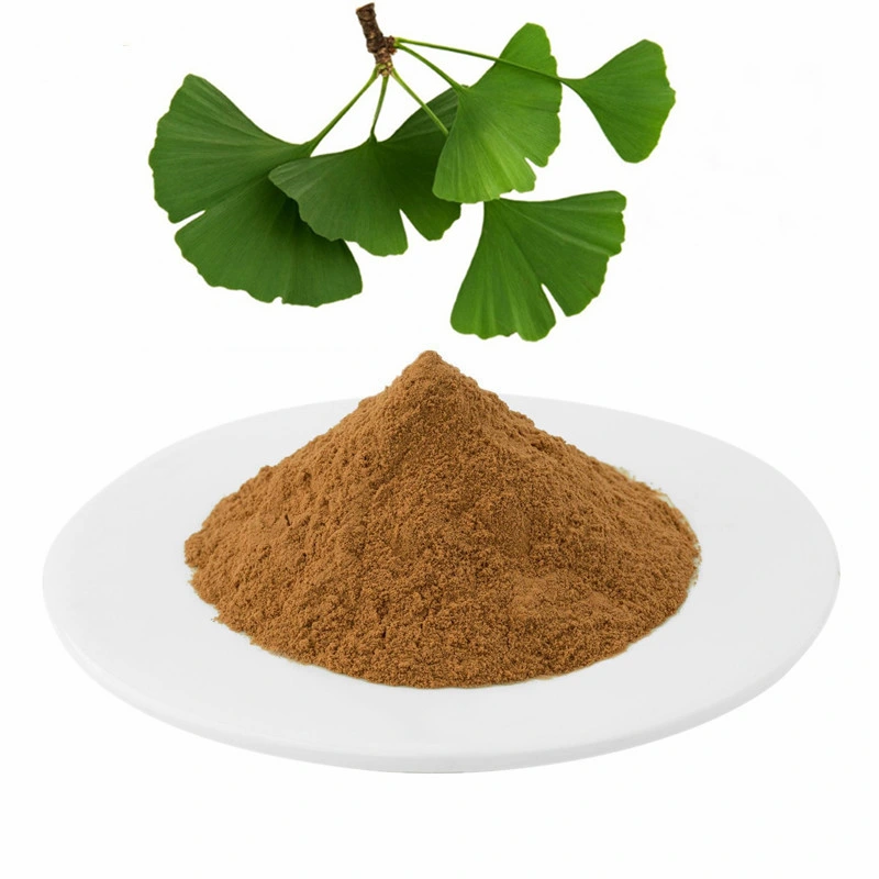 preço de fábrica Extrato de Ginkgo Biloba / extrato de planta CAS 90045-36-6