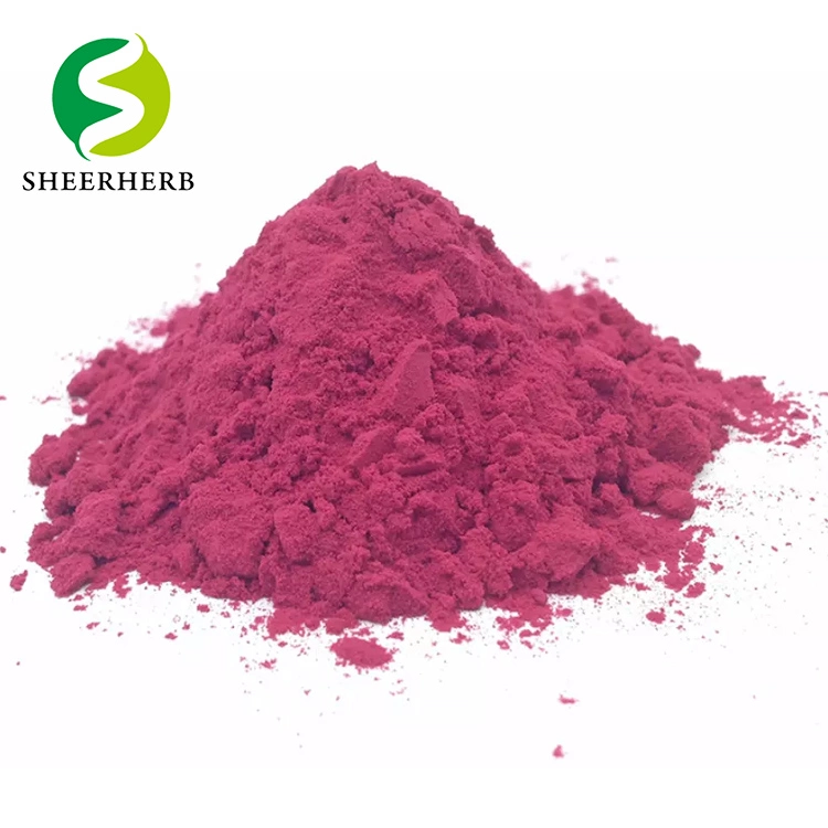 Health Food Ingredient Red Beet Root Extract Instant Drink Powder Beetroot