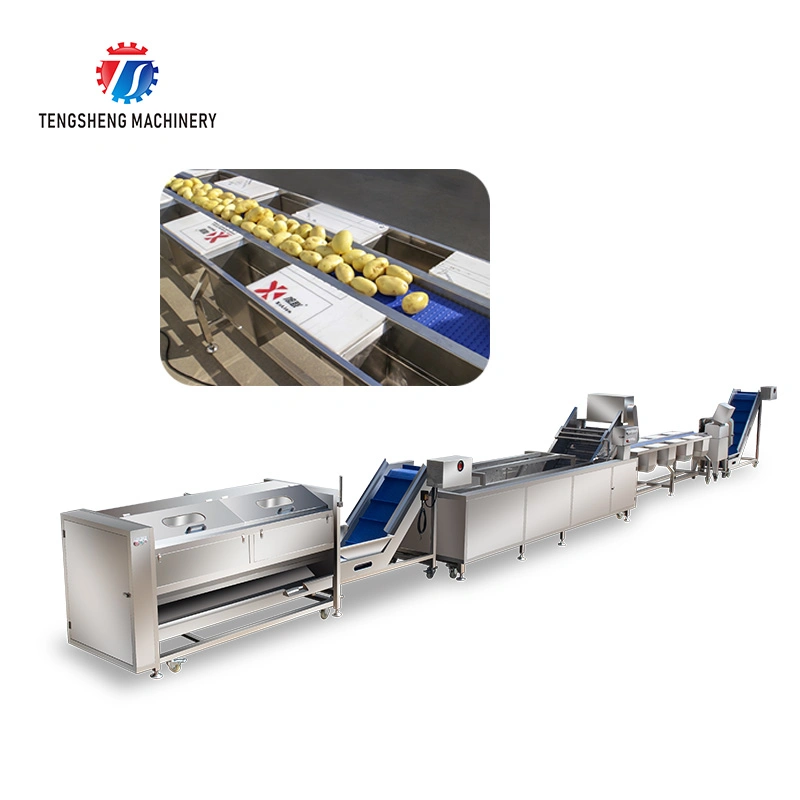 Vegetable and Fruit Hair Roller Bubble Cleaning Selection and Cutting Machine Production Line