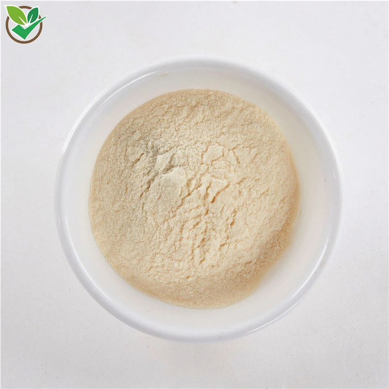 100% Natural Organic Litchi Lychee Fruit Juice Powder