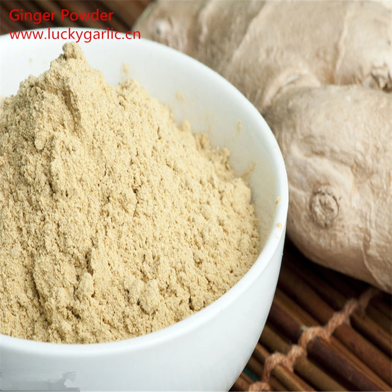 Natural Ginger Extract Powder