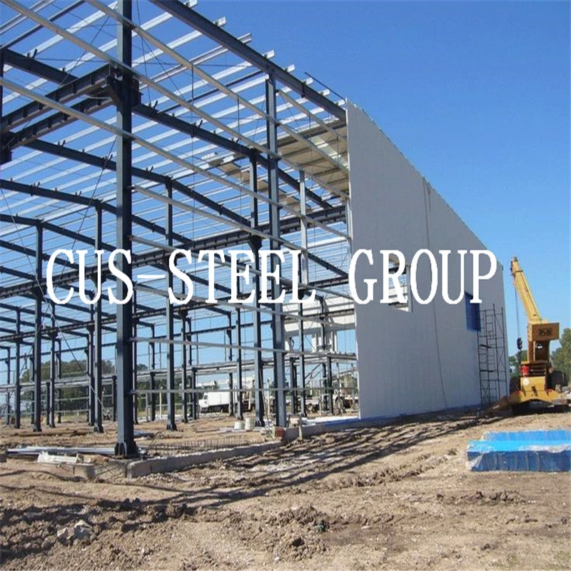 Low Cost Long Span Steel Building Project/Light Weight Steel Structure