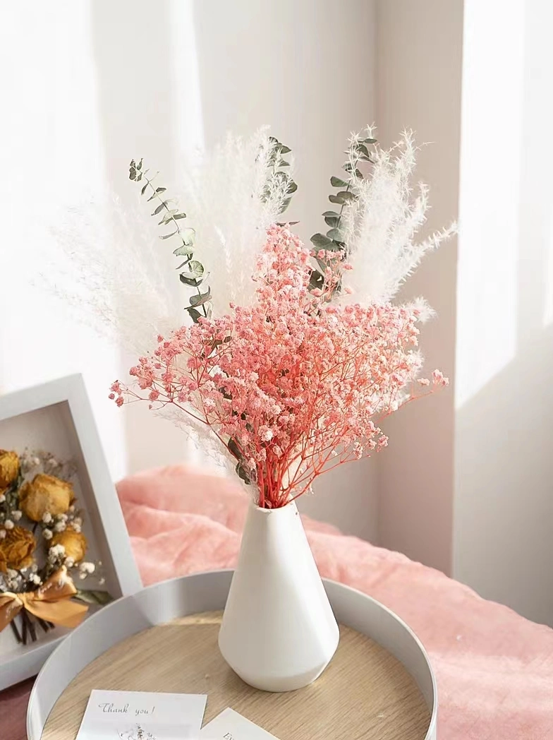 Natural Dried Flower Living Room Decoration Wedding Photography Props Dried Bouquet Flower