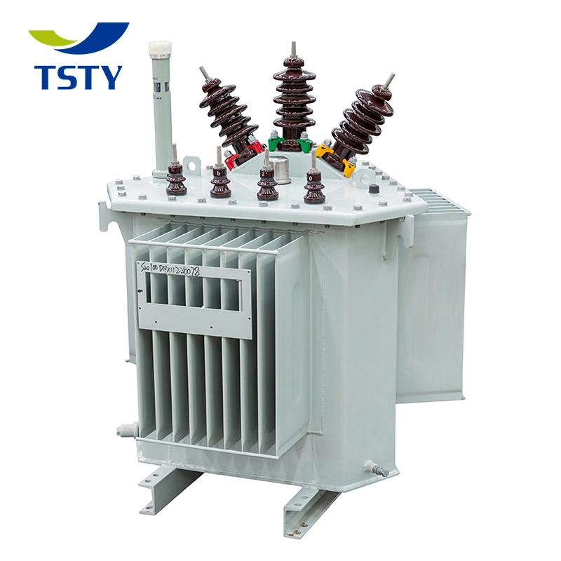 S13 315kVA 3150kVA Full Sealed 10kv 11kv High Voltage Low Voltage Outdoor Distribution China Supplier Onan Transformer with Customized Service