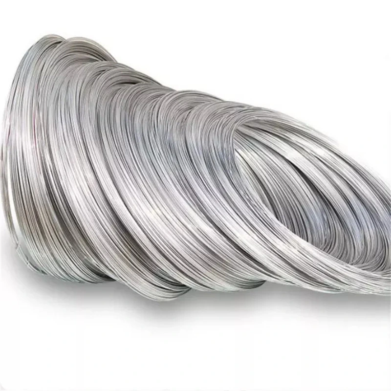 SGS Certificate High quality/High cost performance Different Diameter Spring 201 202 Hot/Cold Rolled Stainless Steel Wire for Export