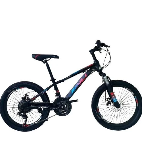 Factory Outlet 21 Shift Mountain Bike MTB Bike Mountain Bicycle Dirt Bike