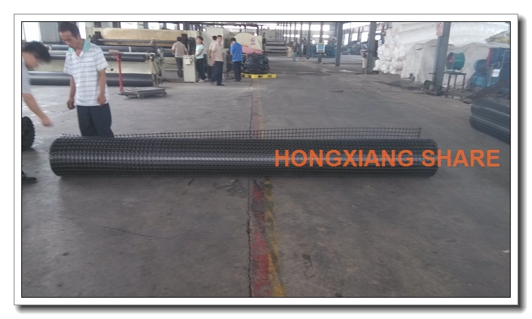 Steel-Plastic Composite Geogrid for Road Railway Highway Tunnel