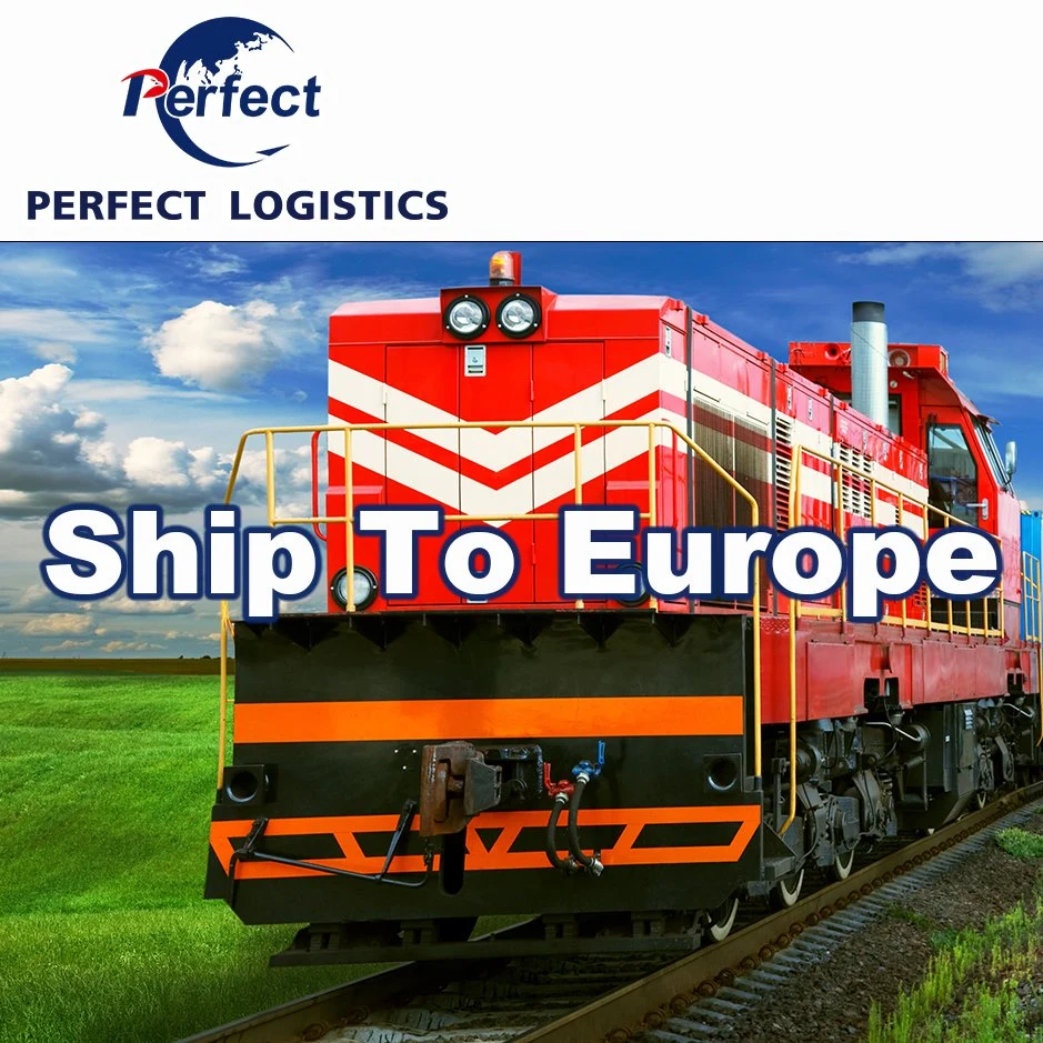 Economy Sea Freight From All Over China to Hamburg/Rotterdam/London/Le Harve/Antwepr/New York/Los Angeles/Houston/Chicago/Dubai/Jedda/Hamad