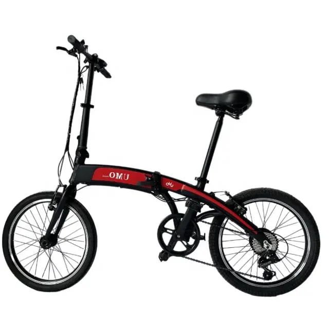 Electric City Folding Bicycle with 36V 250W Motor Ebike CE FCC Certificates Available