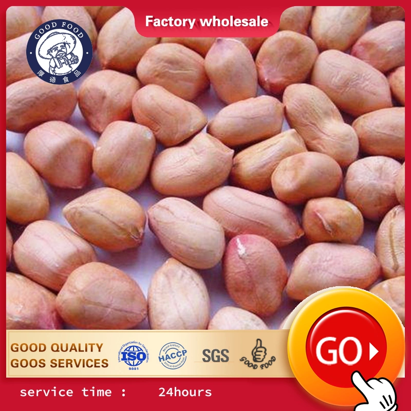 Natural Raw Kernel Peanut with Red Skin AAA Grade From Shandong China