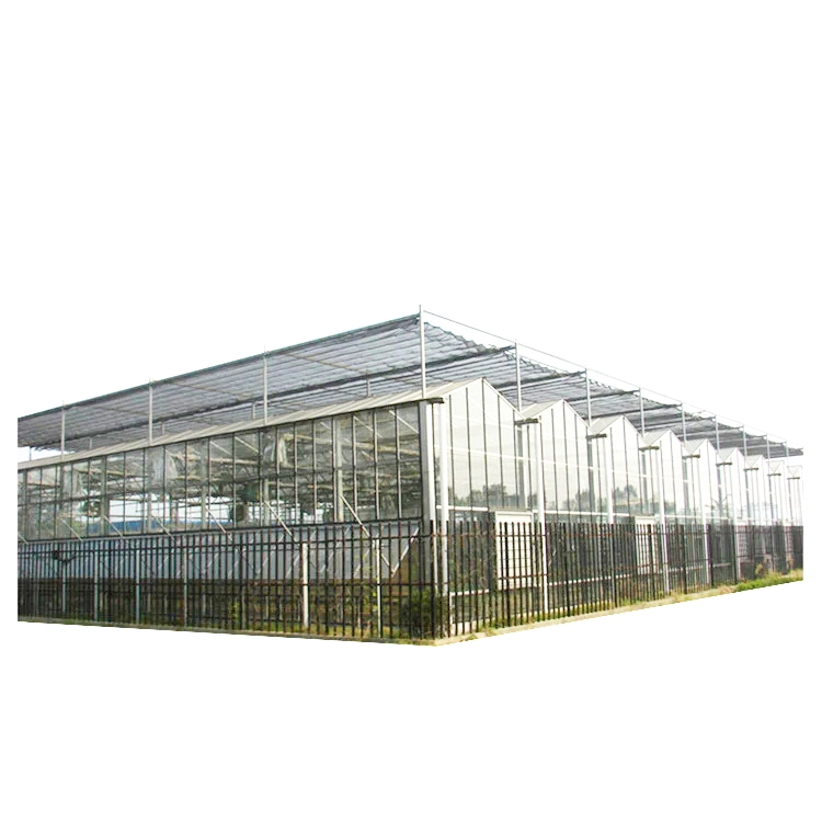 Vegetables Hydroponic Systems Equipment Multi-Span Glass Greenhouse