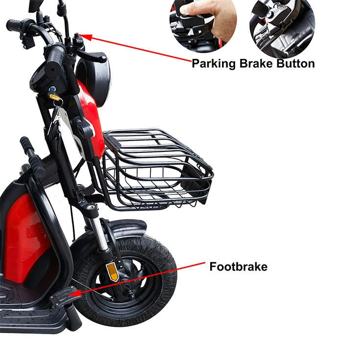 3 Wheel E Bike for Philippines/Canada with Best Price From Original Factory