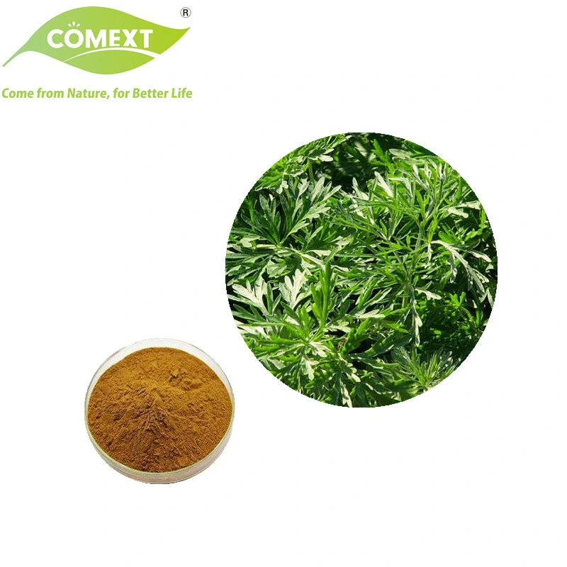 Comext Chinese Herbal Factory Dried Sweet Wormwood Herbs Artemisia Capillaris for Medicine Use