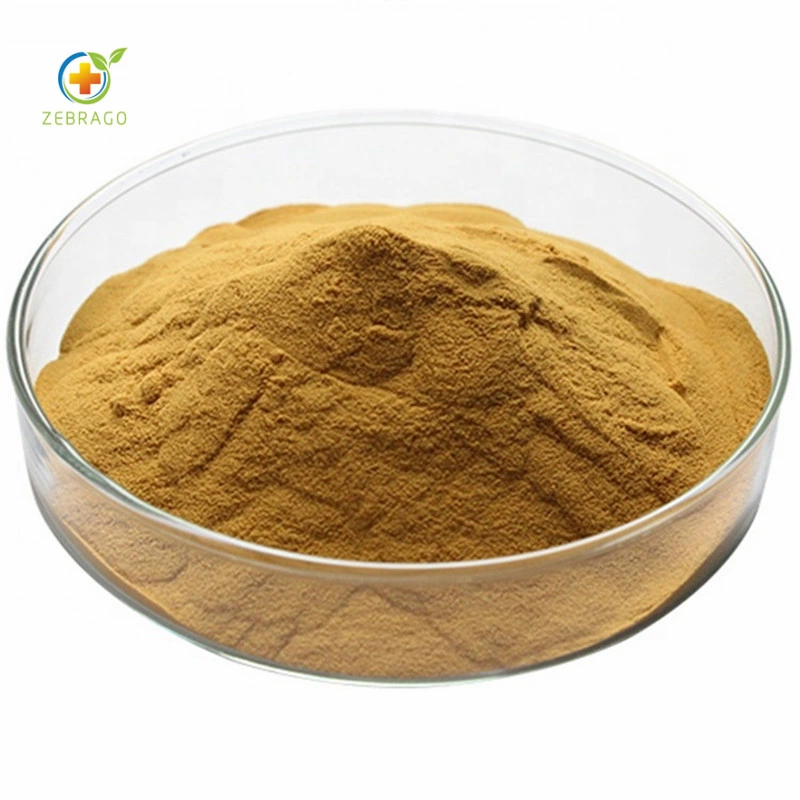 FDA Approved Brown Seaweed Extract Fucoidan Powder