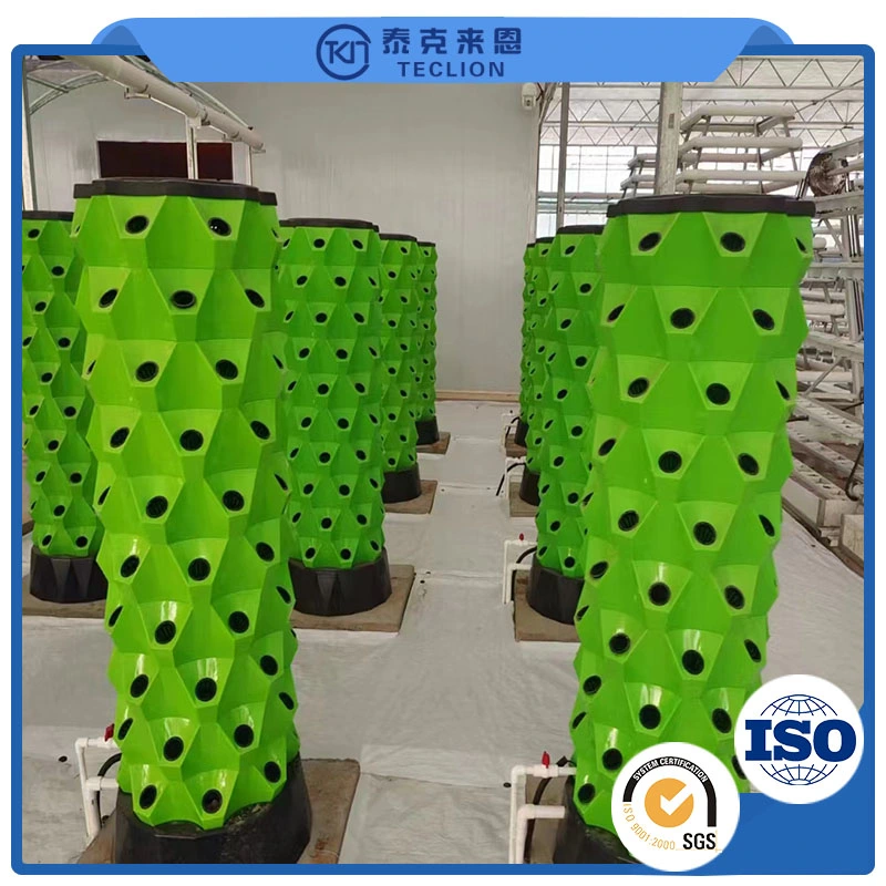 Water Culture Planting System for Strawberry and Leafy Vegetable Planting in Container Agricultural Greenhouse