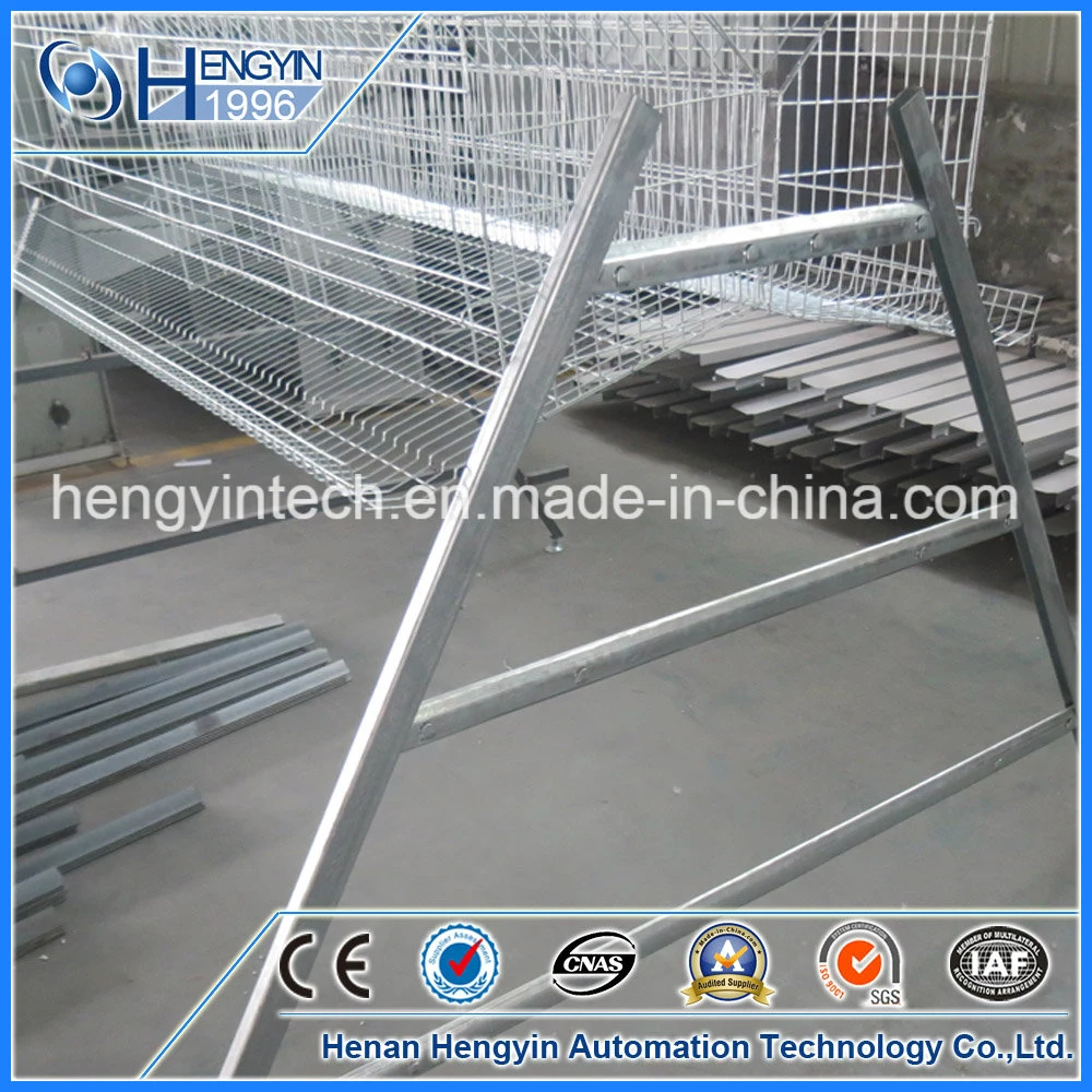 Automatic Feeding System Poultry Farm Layer Chicken Cage for Sale