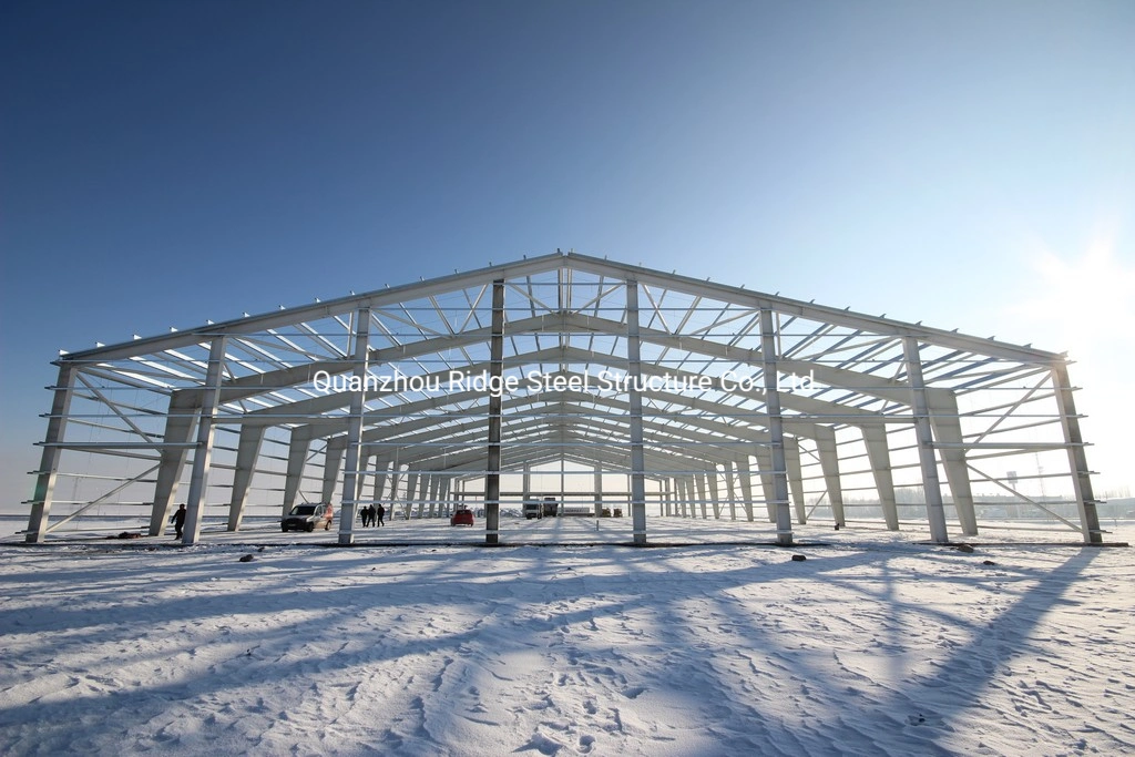 Structure en acier pour l'atelier de construction de châssis